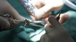 {11778-20160611[01](1)}C