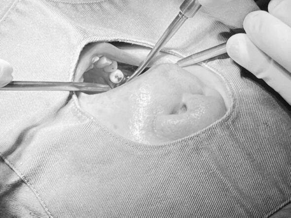 画像に alt 属性が指定されていません。ファイル名: IMG_4500-590x443.jpeg